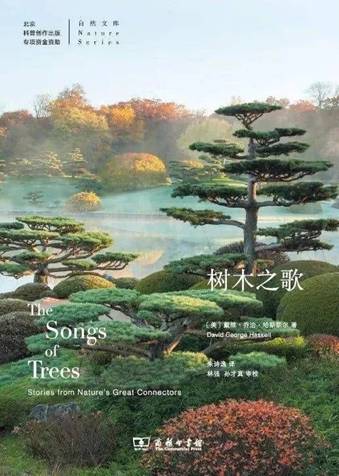 t01162b0fa0887cb79f.webp.jpg